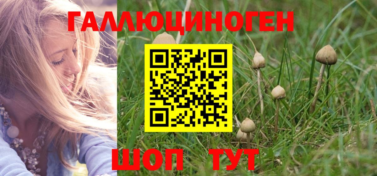 Псилоцибиновые грибы Psilocybine cubensis Видное