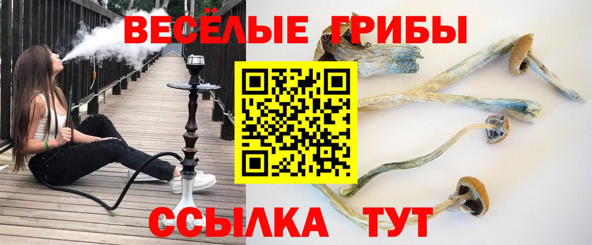 Галлюциногенные грибы Cubensis  Вход с VPN  Видное  Галлюциногенные грибы MAGIC MUSHROOMS 